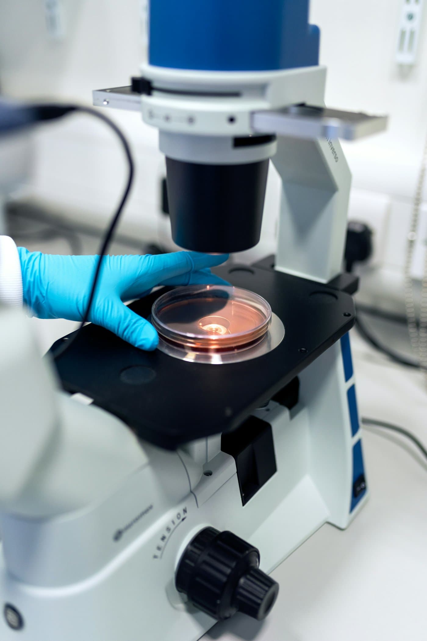 A gloved hand placing a sample dish onto a laboratory microscope