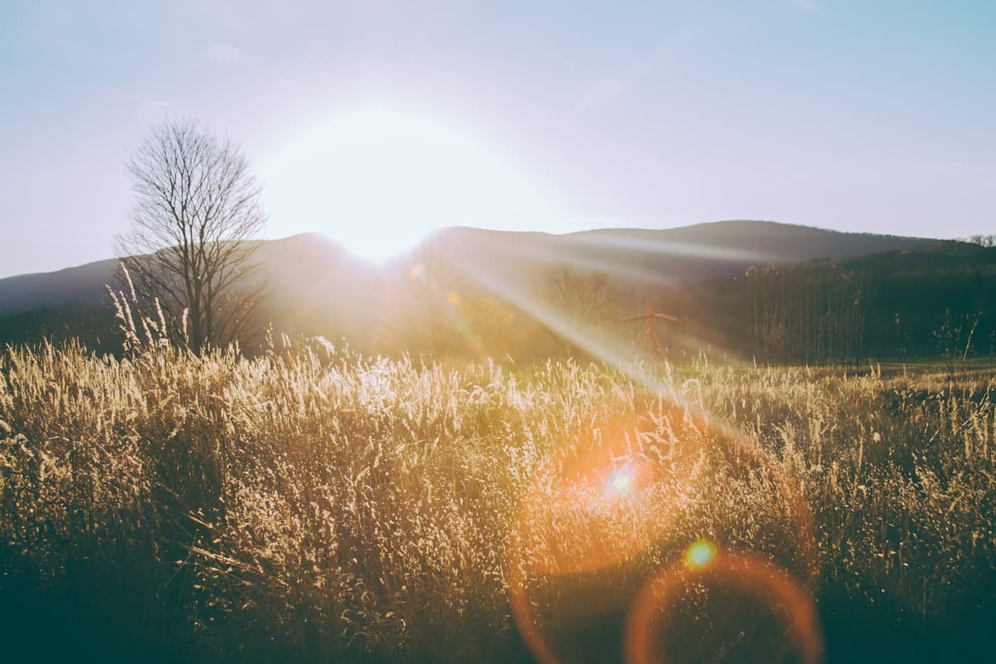 Early morning sunlight over an open field